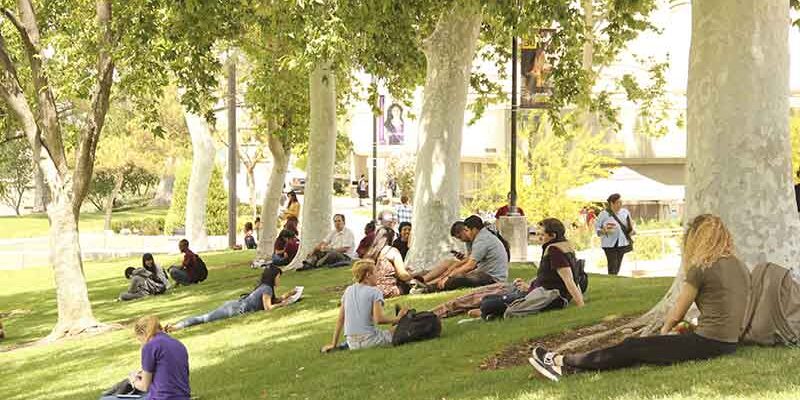students relaxing on college grounds